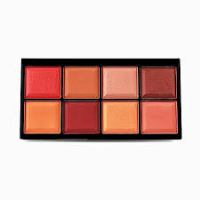 پالت 8رنگ رژگونه فوراور ۵۲ (اصلی) FOREVER 52 Blusher Palette